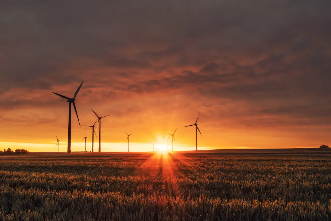 Software development for the energy industry: what to look for in a partner